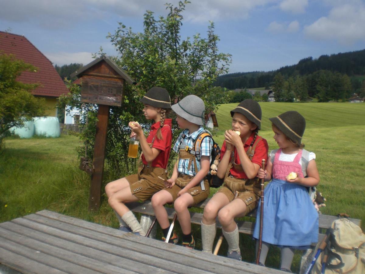 Vila Urlaub Am Bauernhof Grabenhofer Sankt Jakob im Walde Exteriér fotografie