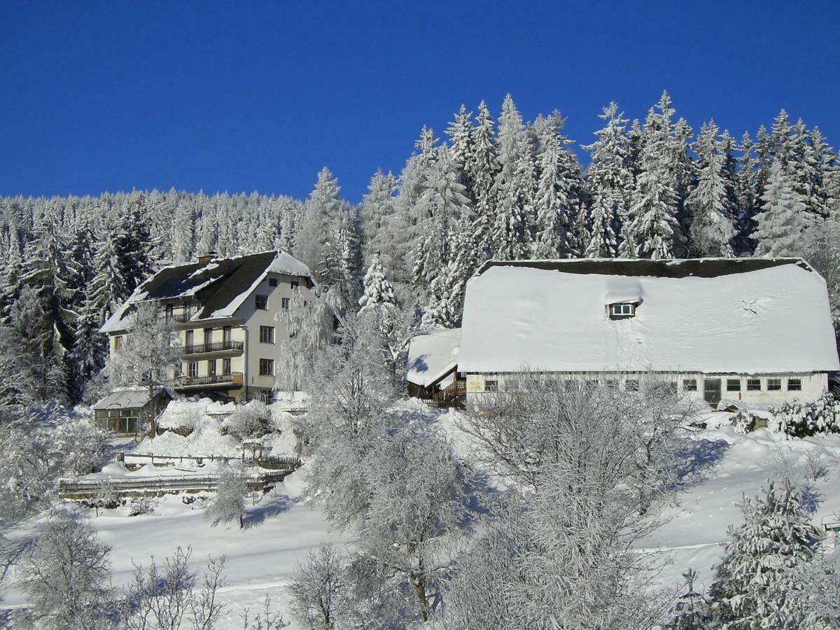 Vila Urlaub Am Bauernhof Grabenhofer Sankt Jakob im Walde Exteriér fotografie