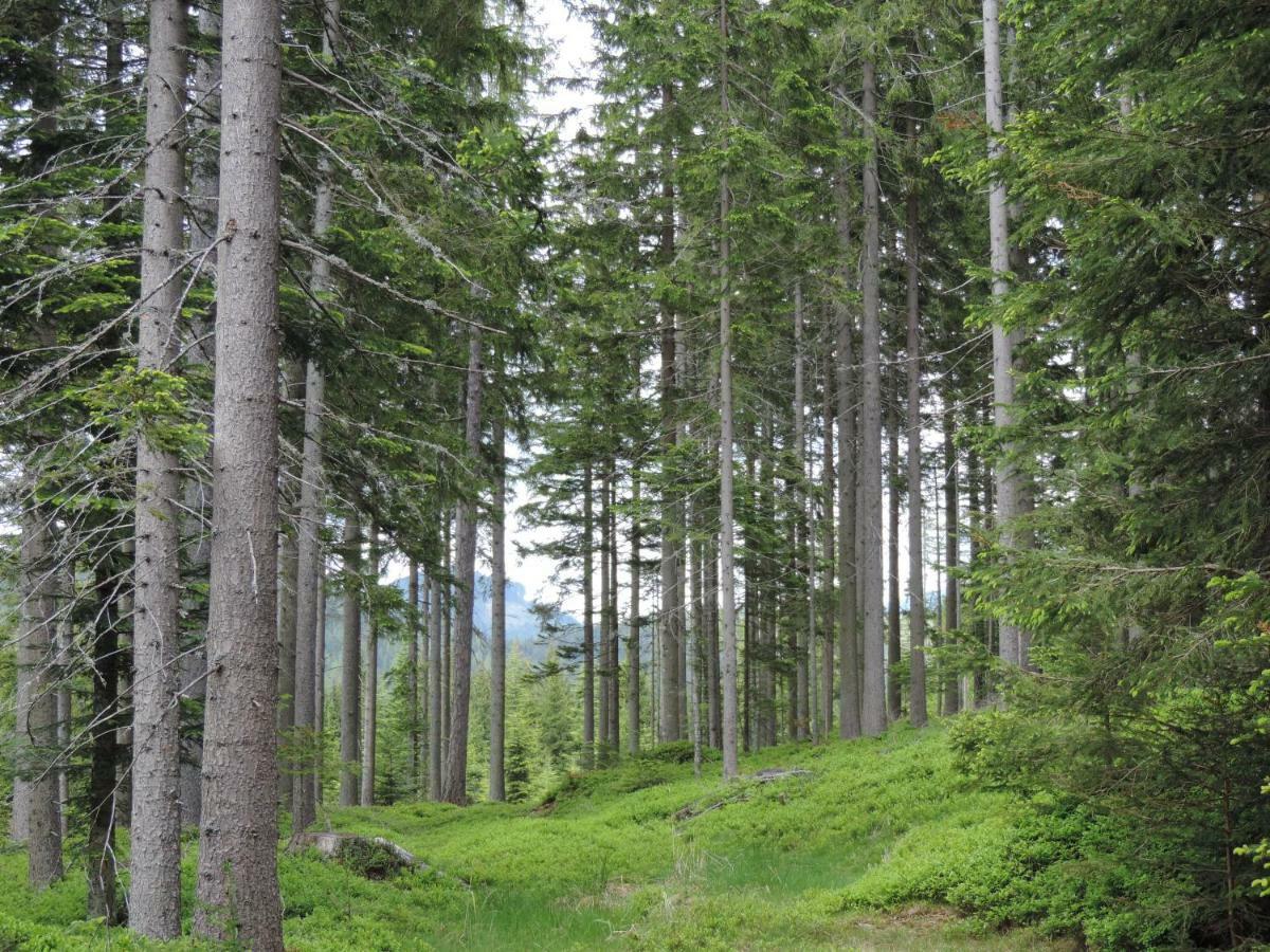 Vila Urlaub Am Bauernhof Grabenhofer Sankt Jakob im Walde Exteriér fotografie