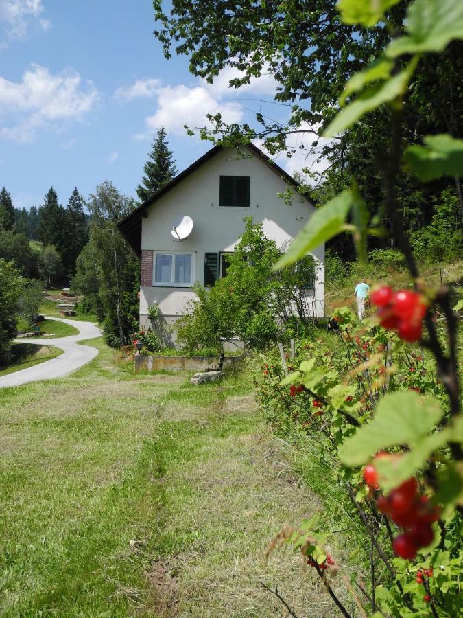 Vila Urlaub Am Bauernhof Grabenhofer Sankt Jakob im Walde Exteriér fotografie