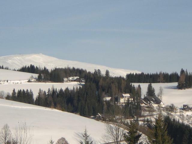 Vila Urlaub Am Bauernhof Grabenhofer Sankt Jakob im Walde Exteriér fotografie